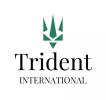 Морские контейнерные перевозки TRIDENT International LTD